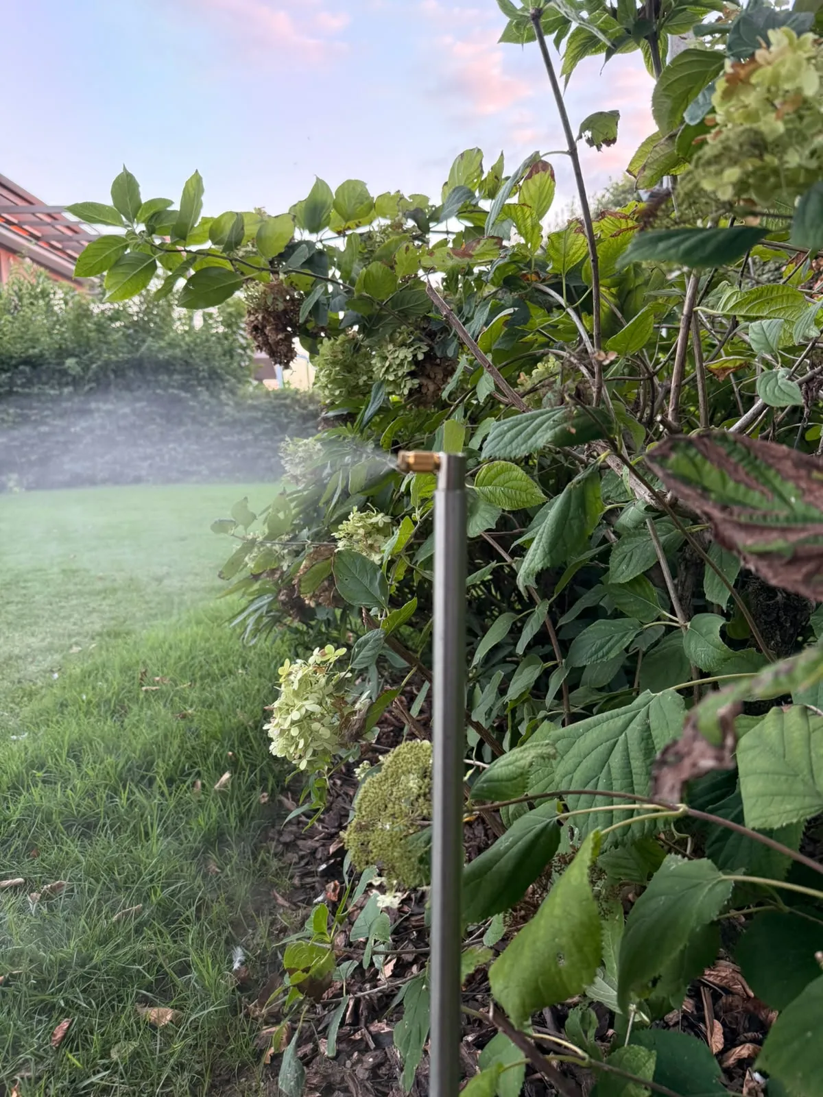 Ugello in ottone in cima a un palo d'acciaio che nebulizza davanti a un'aiuola di ortensie, sul bordo del prato