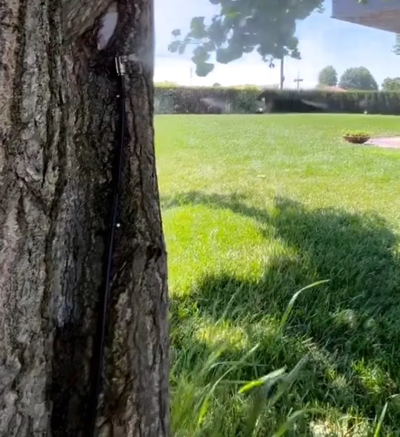 Ugello fissato al tronco di un albero, con il tubo che sale lungo la corteccia